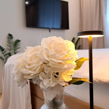 Apartman Jacuzzi Life Subotica